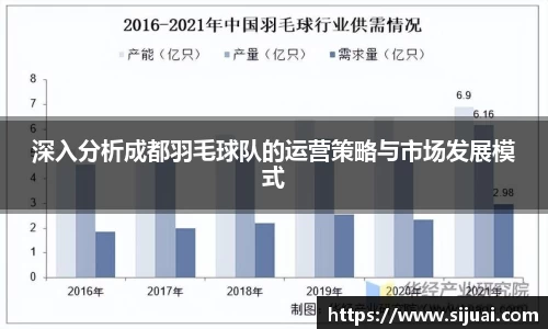 深入分析成都羽毛球队的运营策略与市场发展模式